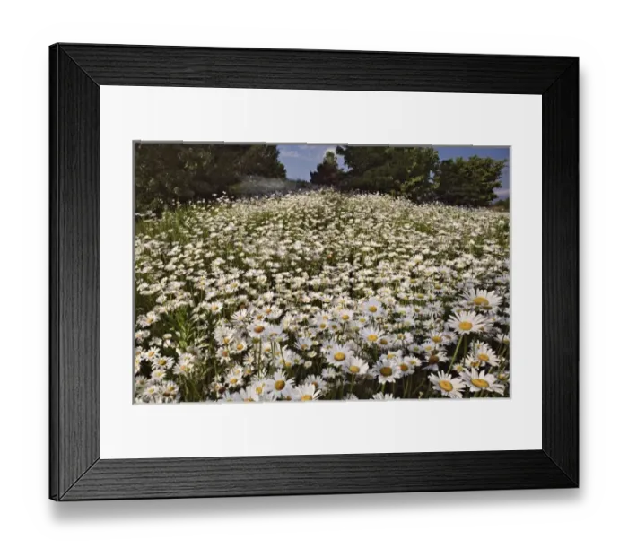 Framed Print : USA, North America, North Carolina Framed Print : USA, North America, North Carolina