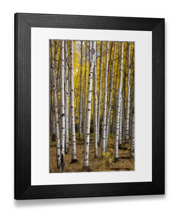 Framed Print : USA, North America, Colorado Framed Print : USA, North America, Colorado