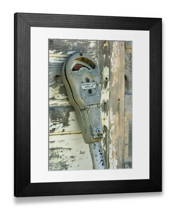 Framed Print : USA, North America, Florida