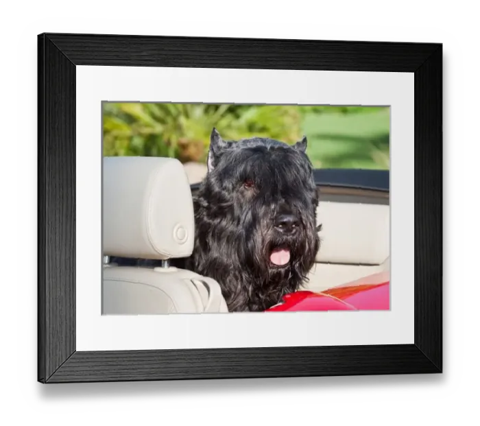 Framed Print : USA, North America, California