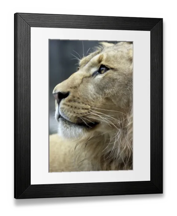Framed Print : USA, North America, California Framed Print : USA, North America, California