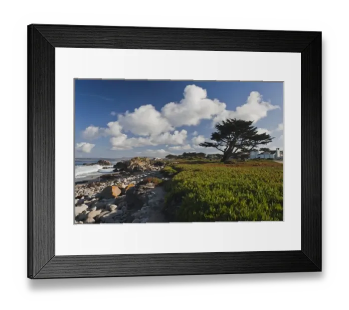 Framed Print : USA, California, Central Coast, Monterey Peninsula, Pacific Grove coastline Framed Print : USA, California, Central Coast, Monterey Peninsula, Pacific Grove coastline