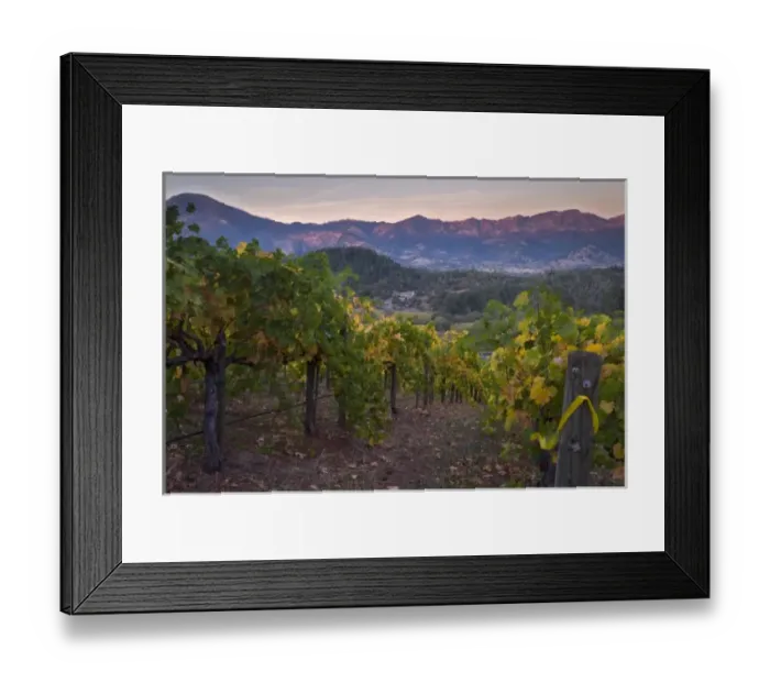 Framed Print : Graeser Winery on Petrified Forest Road, near Calistoga, Napa Valley Wine Country, California, USA Framed Print : Graeser Winery on Petrified Forest Road, near Calistoga, Napa Valley Wine Country, California, USA