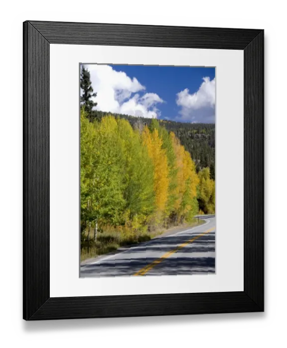 Framed Print : Colorado, Wolf Creek Pass Framed Print : Colorado, Wolf Creek Pass
