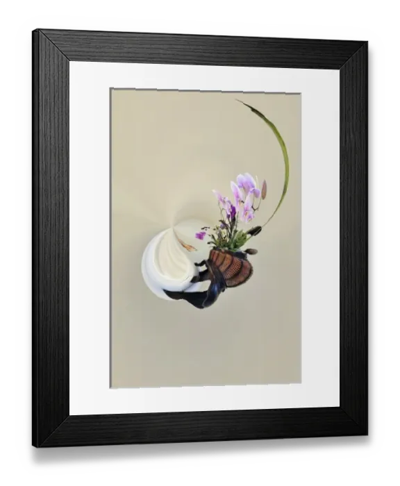 Framed Print : Planter full of orchids, Delray Beach, Florida