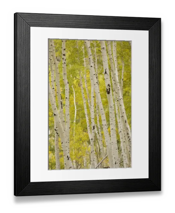 Framed Print : USA, North America, Colorado Framed Print : USA, North America, Colorado