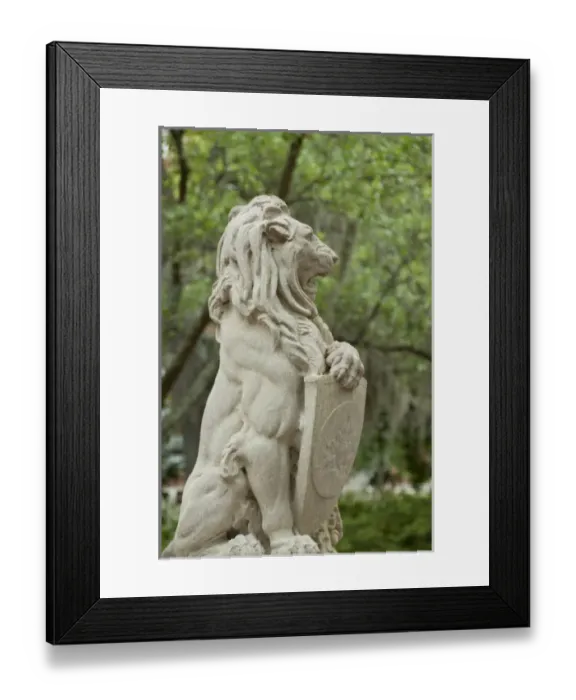 Framed Print : USA, North America, Georgia Framed Print : USA, North America, Georgia