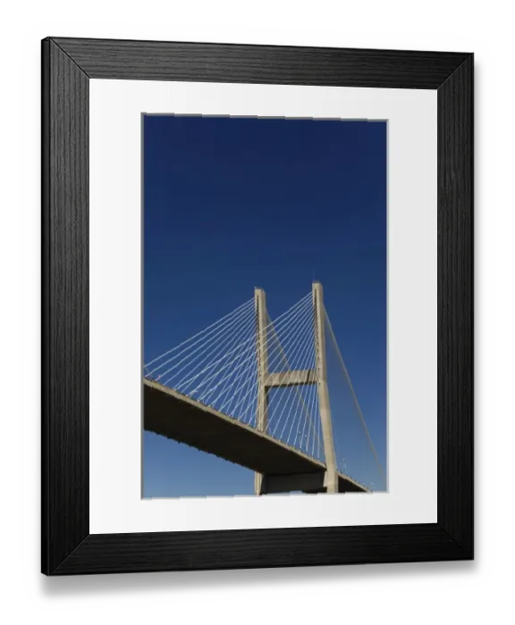 Framed Print : Talmadge Bridge details, Savannah, Georgia