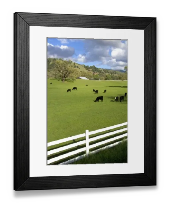 Framed Print : USA, North America, California Framed Print : USA, North America, California