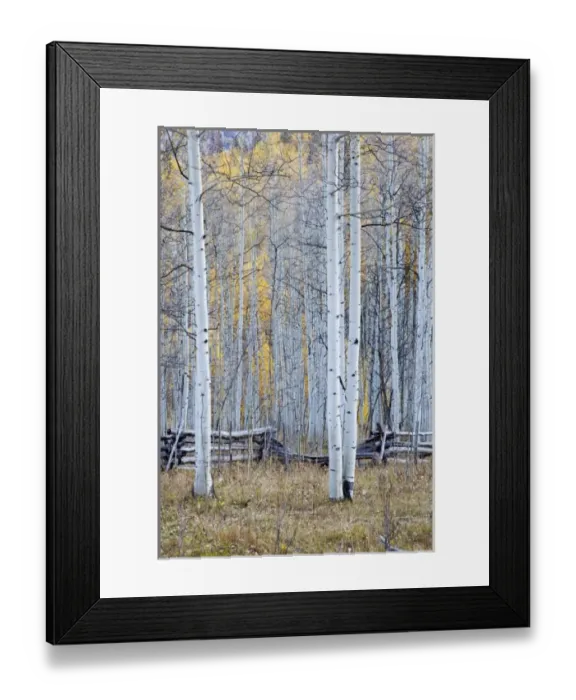 Framed Print : USA, North America, Colorado