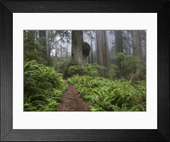 Framed Print : USA, North America, California Framed Print : USA, North America, California