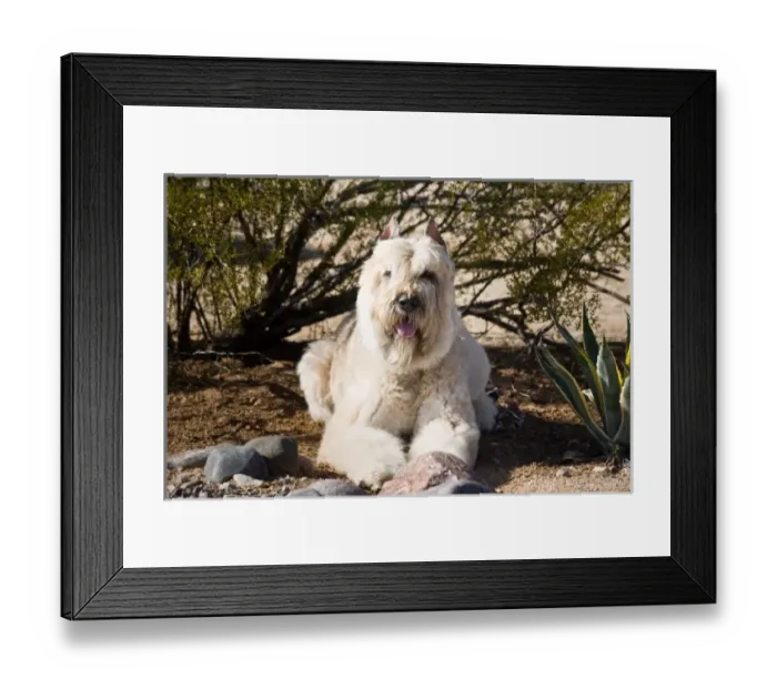Framed Print : USA, North America, Arizona Framed Print : USA, North America, Arizona