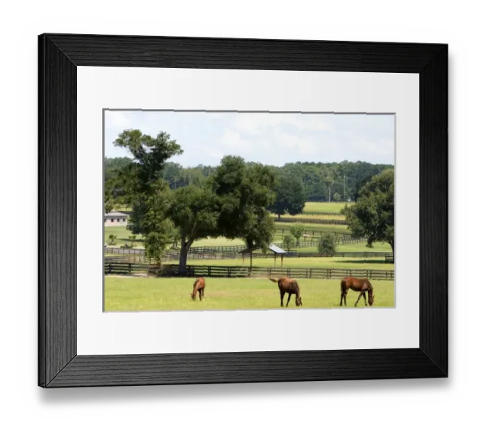 Framed Print : USA, North America, Florida Framed Print : USA, North America, Florida