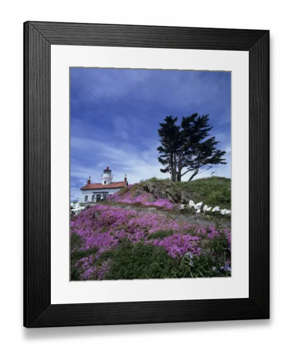 Framed Print : CA, Crescent City, Battery Point lighthouse with ice plant in bloom, built in 1856 Framed Print : CA, Crescent City, Battery Point lighthouse with ice plant in bloom, built in 1856