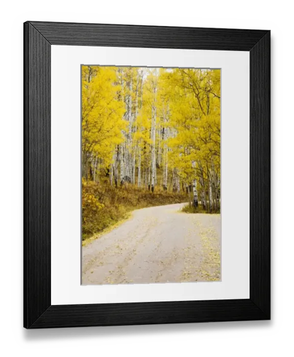 Framed Print : USA, North America, Colorado Framed Print : USA, North America, Colorado