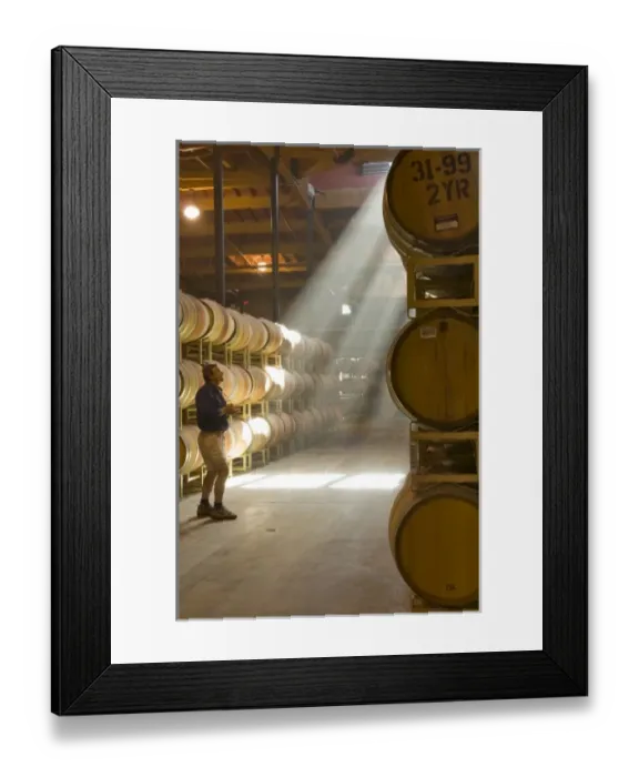 Framed Print : USA, North America, California