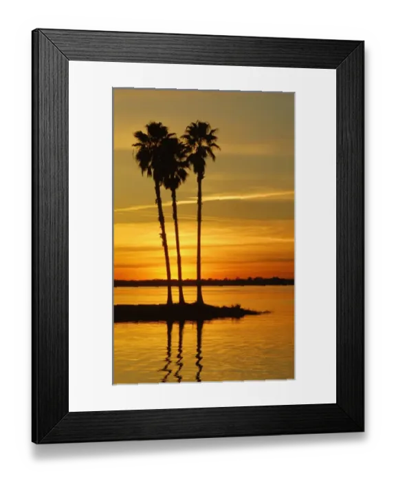 Framed Print : USA, North America, Florida Framed Print : USA, North America, Florida