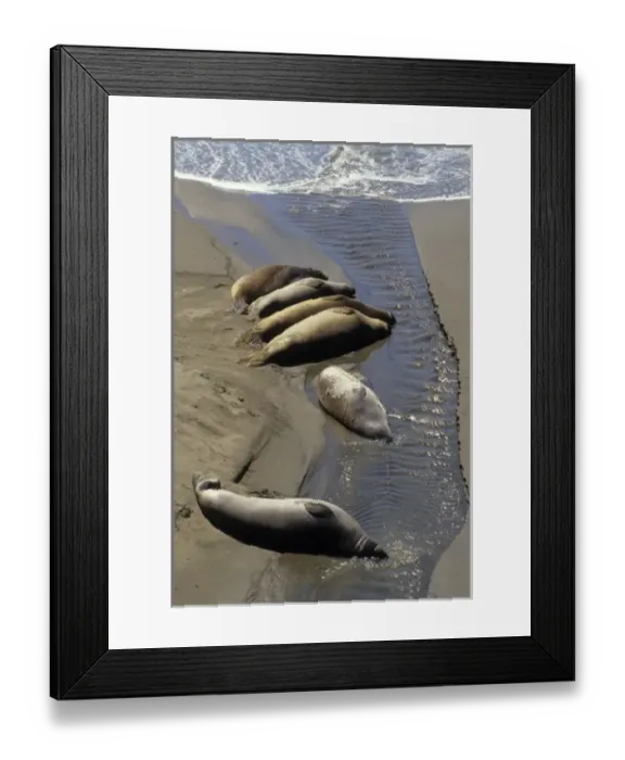 Framed Print : USA, North America, California Framed Print : USA, North America, California