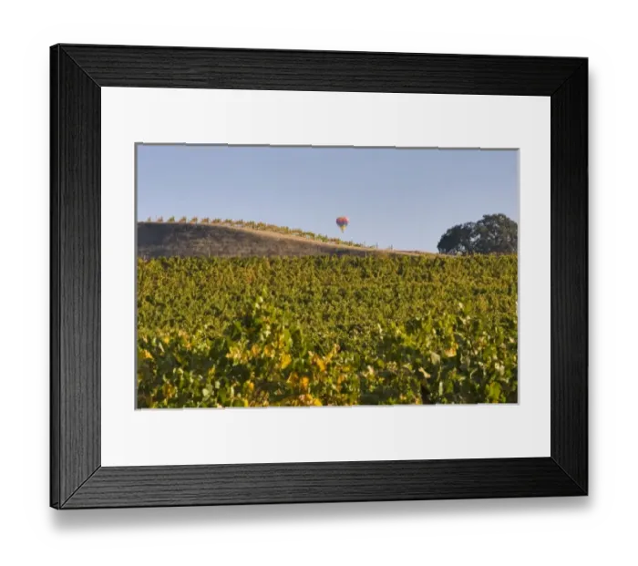Framed Print : USA, North America, California Framed Print : USA, North America, California