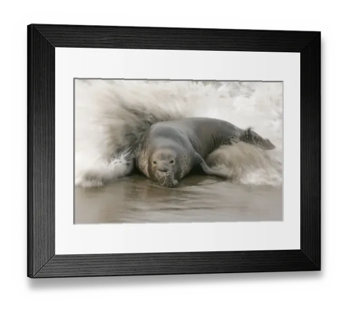 Framed Print : USA, North America, California Framed Print : USA, North America, California