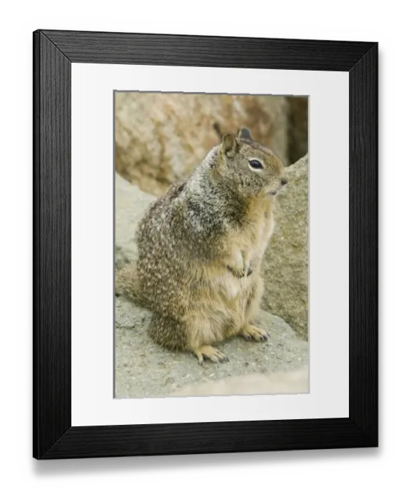 Framed Print : USA, North America, California Framed Print : USA, North America, California