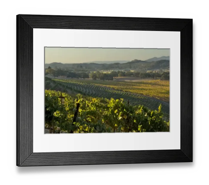 Framed Print : USA, North America, California