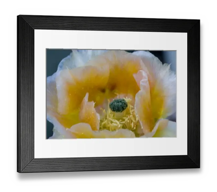 Framed Print : USA, North America, Arizona