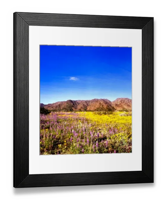 Framed Print : USA, California, Joshua Tree National Park