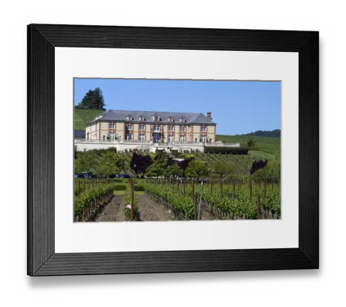 Framed Print : Domaine Carneros Winery and vineyards in the Napa Valley, California, USA