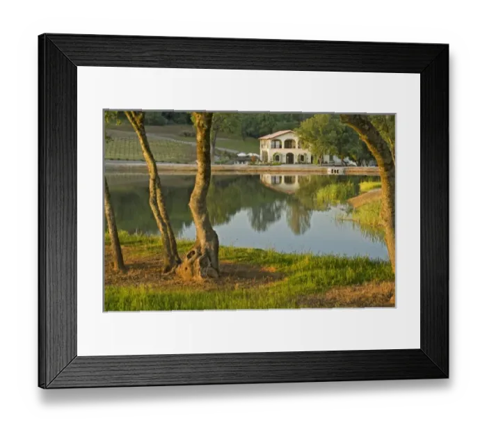 Framed Print : Winery and vineyard reflected in pond at David Girard Vineyards winery. North America