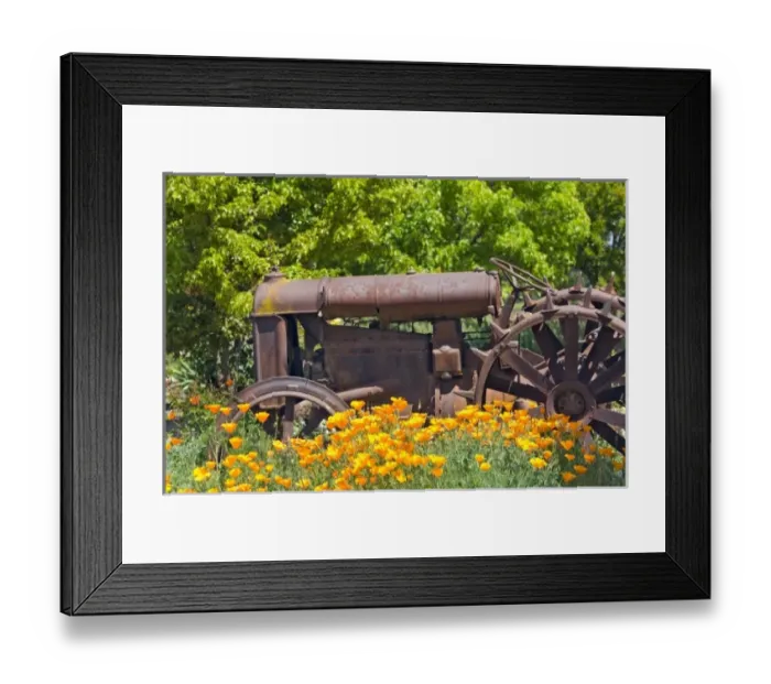 Framed Print : USA, North America, California Framed Print : USA, North America, California