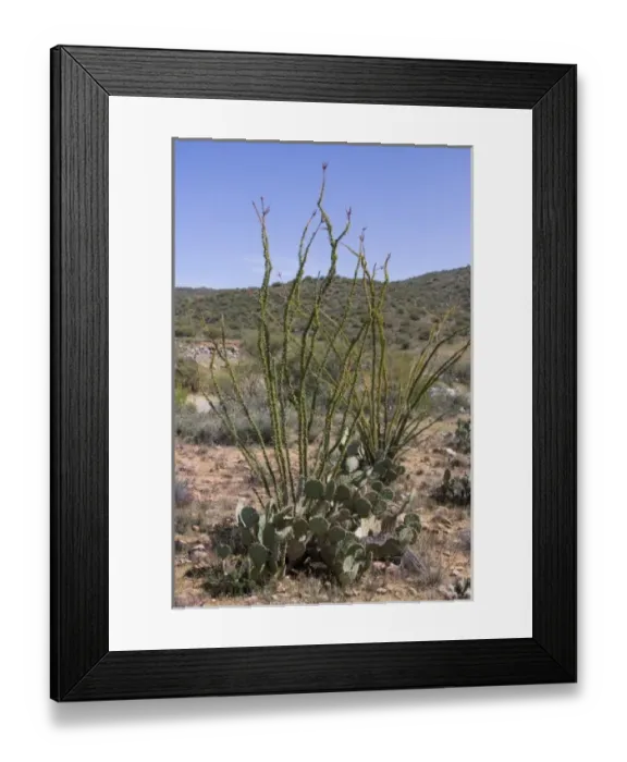 Framed Print : USA, North America, Arizona Framed Print : USA, North America, Arizona