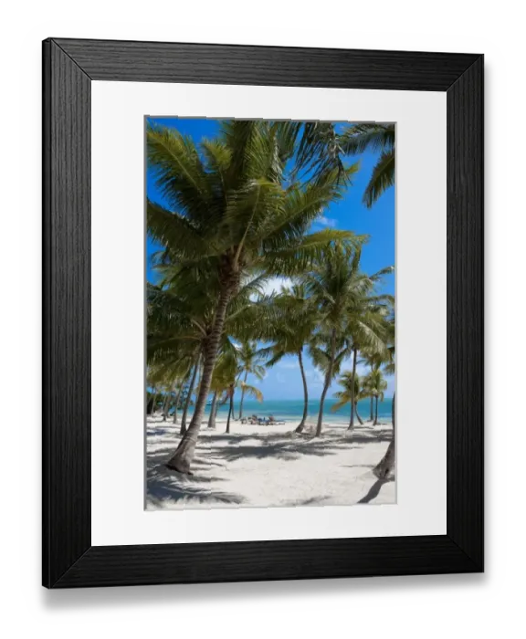 Framed Print : The Moorings Resort, Marathon, Key West, Florida, USA