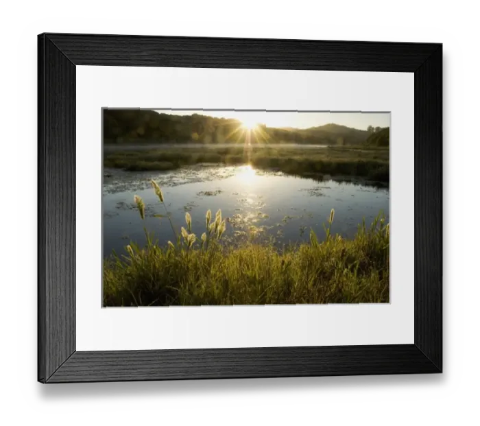 Framed Print : USA, North America, California Framed Print : USA, North America, California