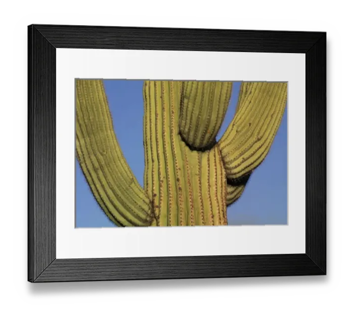 Framed Print : USA, North America, Arizona