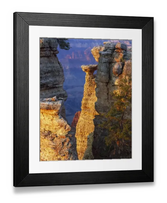 Framed Print : Grand Canyon National Park, Arizona. USA. Pillars of Kaibab Limestone on rim of Grand Framed Print : Grand Canyon National Park, Arizona. USA. Pillars of Kaibab Limestone on rim of Grand