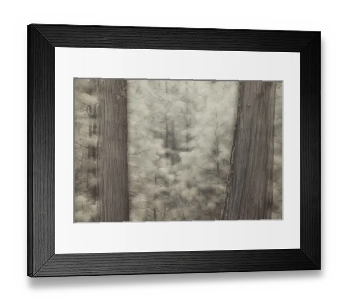 Framed Print : USA, North America, California