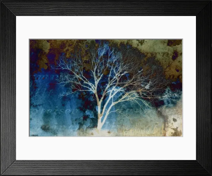 Framed Print : North America, USA, Florida, digitally altered, artistic rendition of a barren tree Framed Print : North America, USA, Florida, digitally altered, artistic rendition of a barren tree