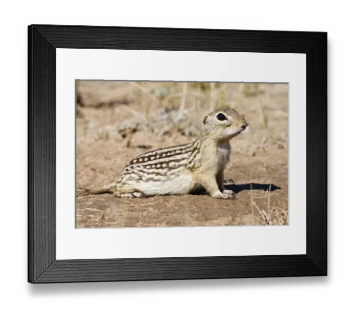 Framed Print : USA, North America, Colorado Framed Print : USA, North America, Colorado