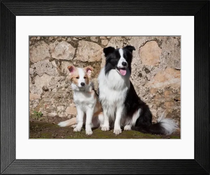 Framed Print : USA, North America, California Framed Print : USA, North America, California