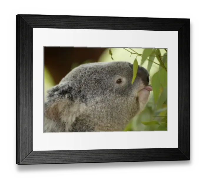 Framed Print : USA, North America, California Framed Print : USA, North America, California