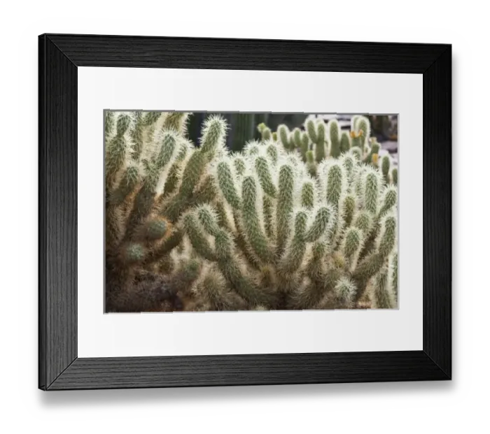 Framed Print : USA, North America, Arizona Framed Print : USA, North America, Arizona