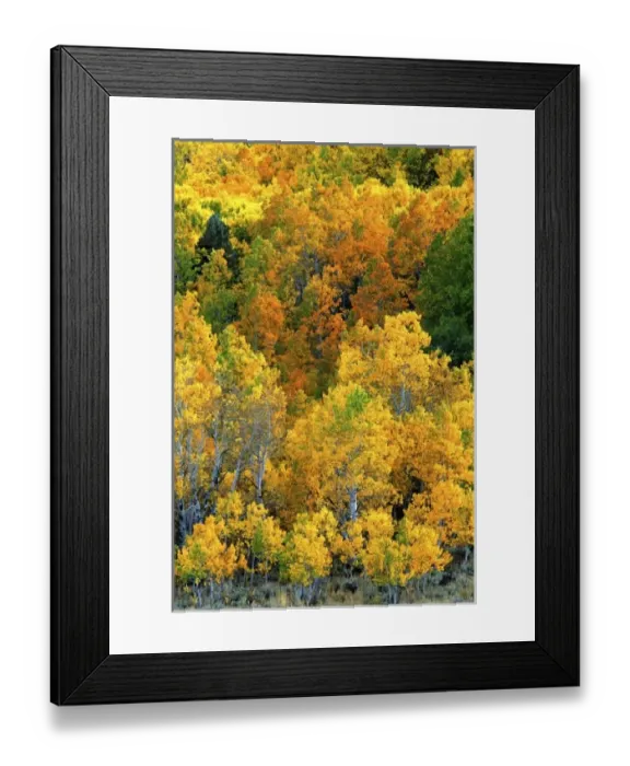 Framed Print : USA, North America, California Framed Print : USA, North America, California