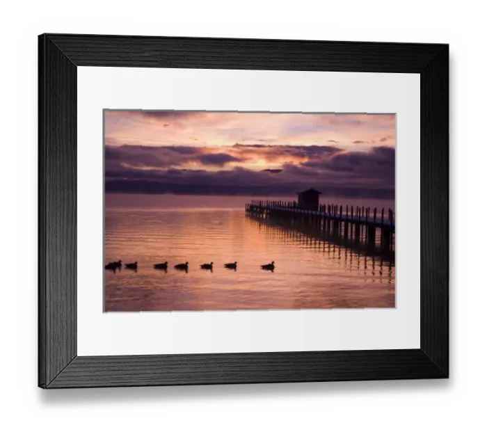 Framed Print : USA. California. Lake Tahoe. The sunset washes the water and pier with color while geese float by Framed Print : USA. California. Lake Tahoe. The sunset washes the water and pier with color while geese float by