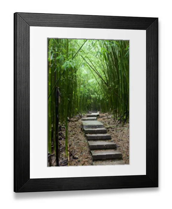 Framed Print : USA, North America, Florida Framed Print : USA, North America, Florida