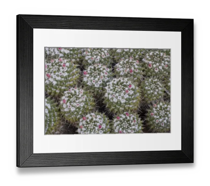 Framed Print : USA, North America, Arizona Framed Print : USA, North America, Arizona