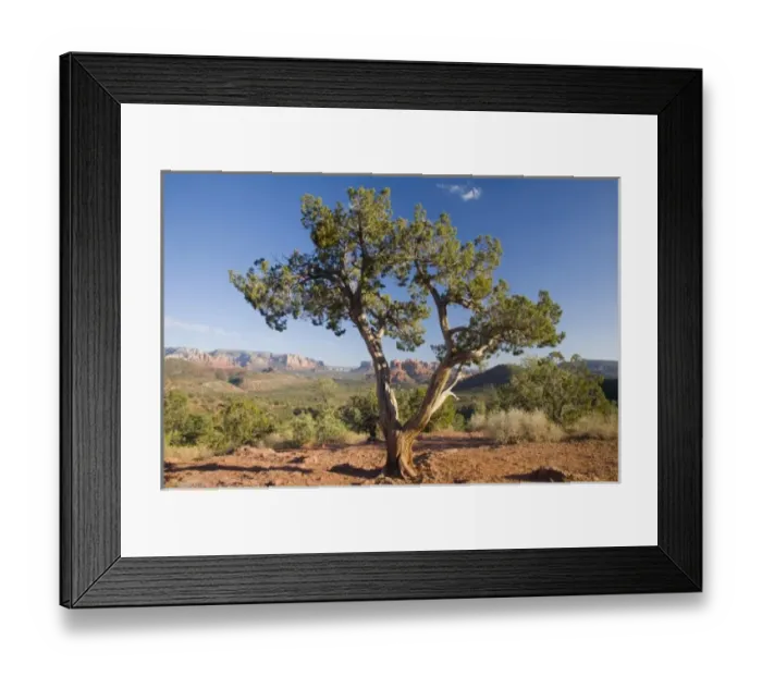 Framed Print : USA, North America, Arizona