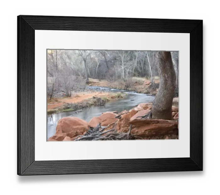 Framed Print : Red Rock and tree roots intertwined on the bank of Oak Creek, Sedona, AZ