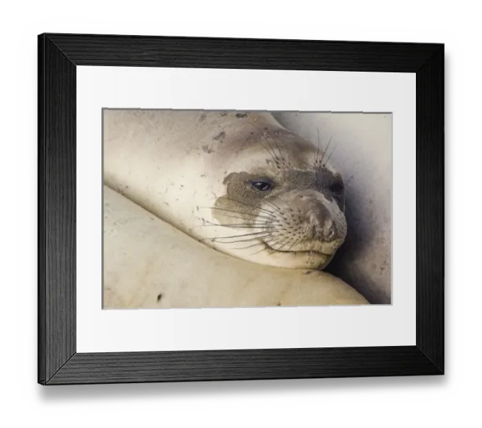 Framed Print : USA, North America, California Framed Print : USA, North America, California