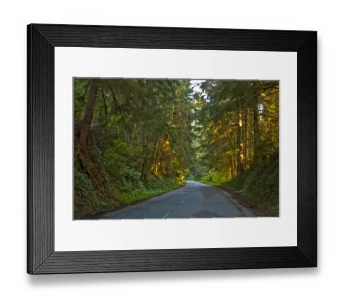 Framed Print : USA, California, Redwood National Park, Coastal Drive